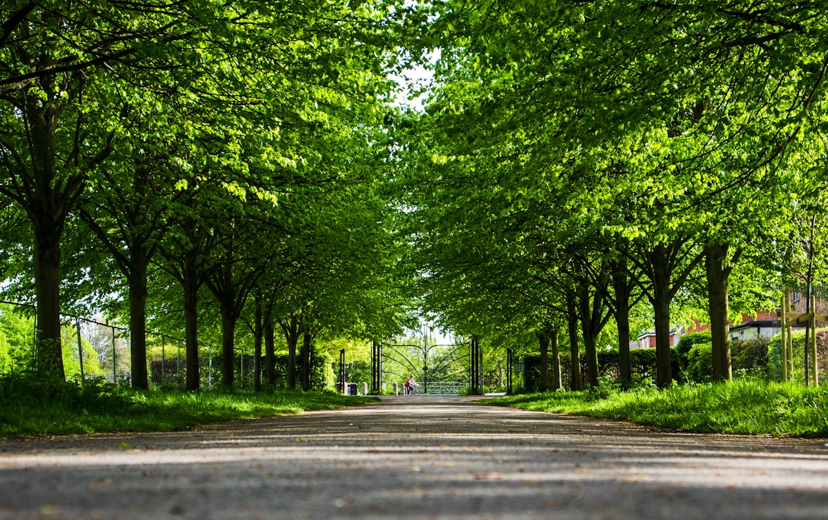 Roswell, Georgia area